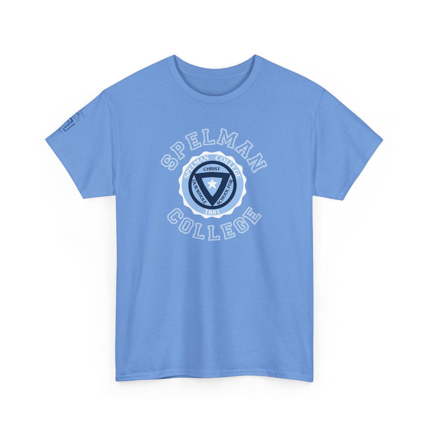 Unisex Heavy Cotton Tee sc