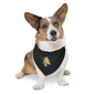 NCAT Pet Bandana Collar