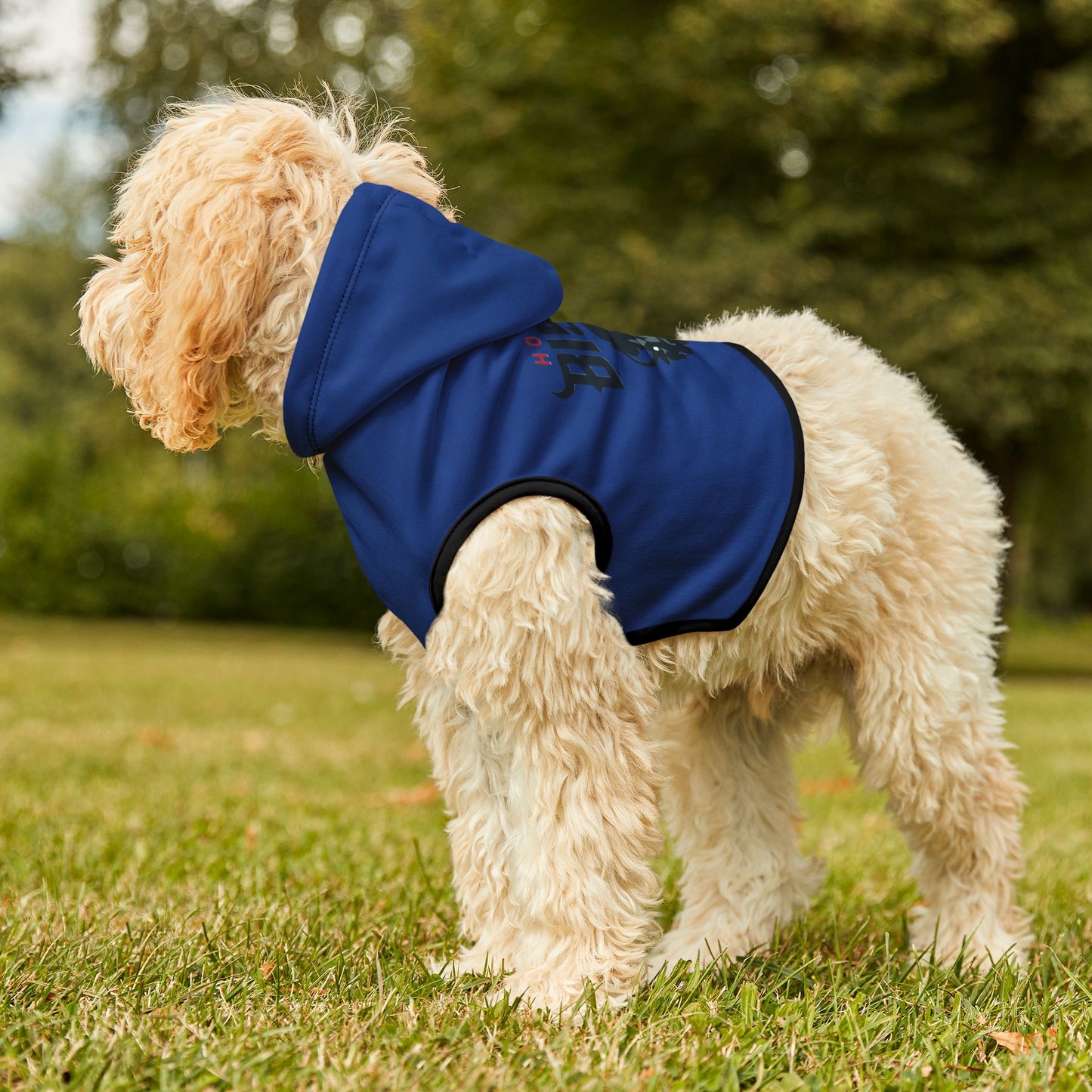 Howard Pet Hoodie