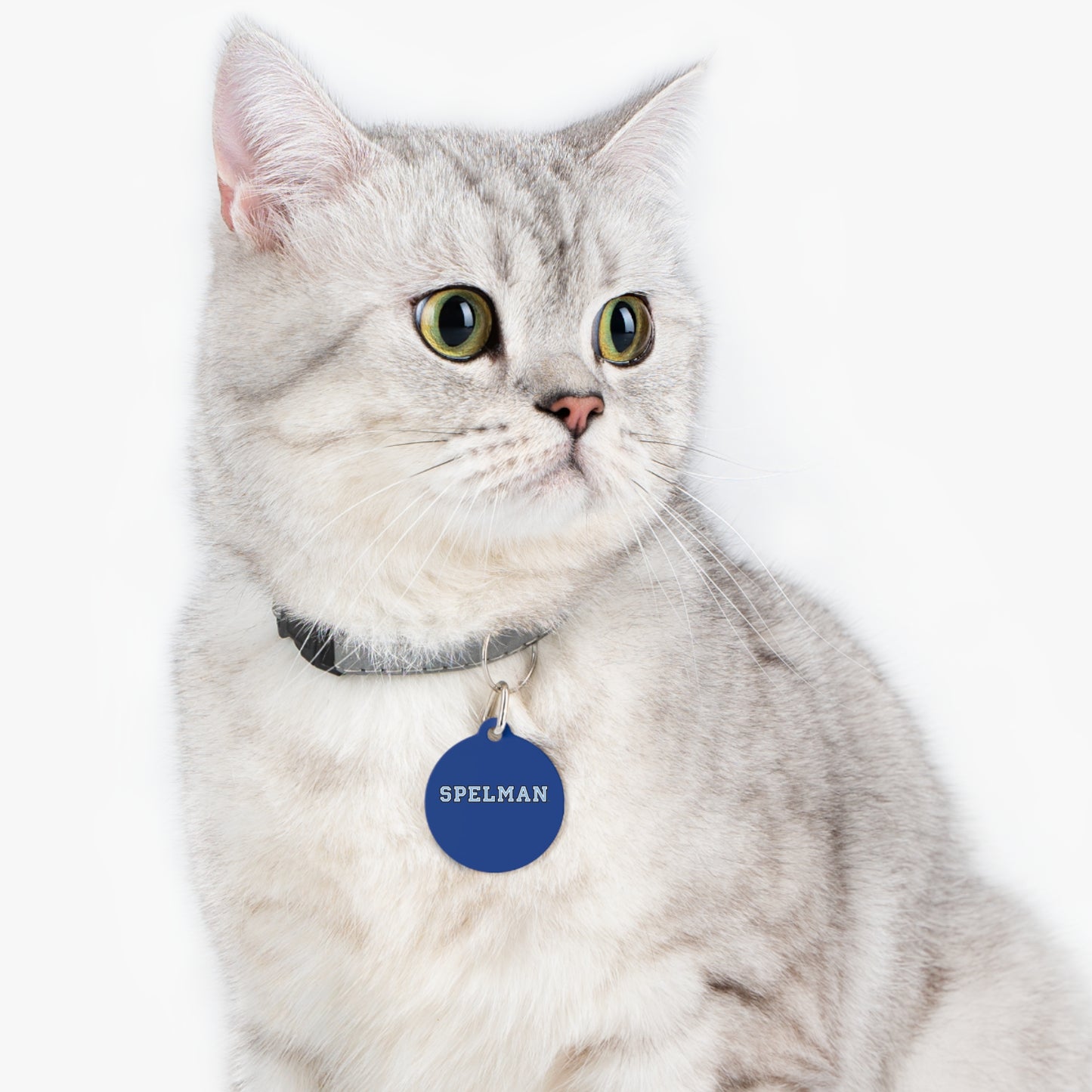 Spelman Pet Tag