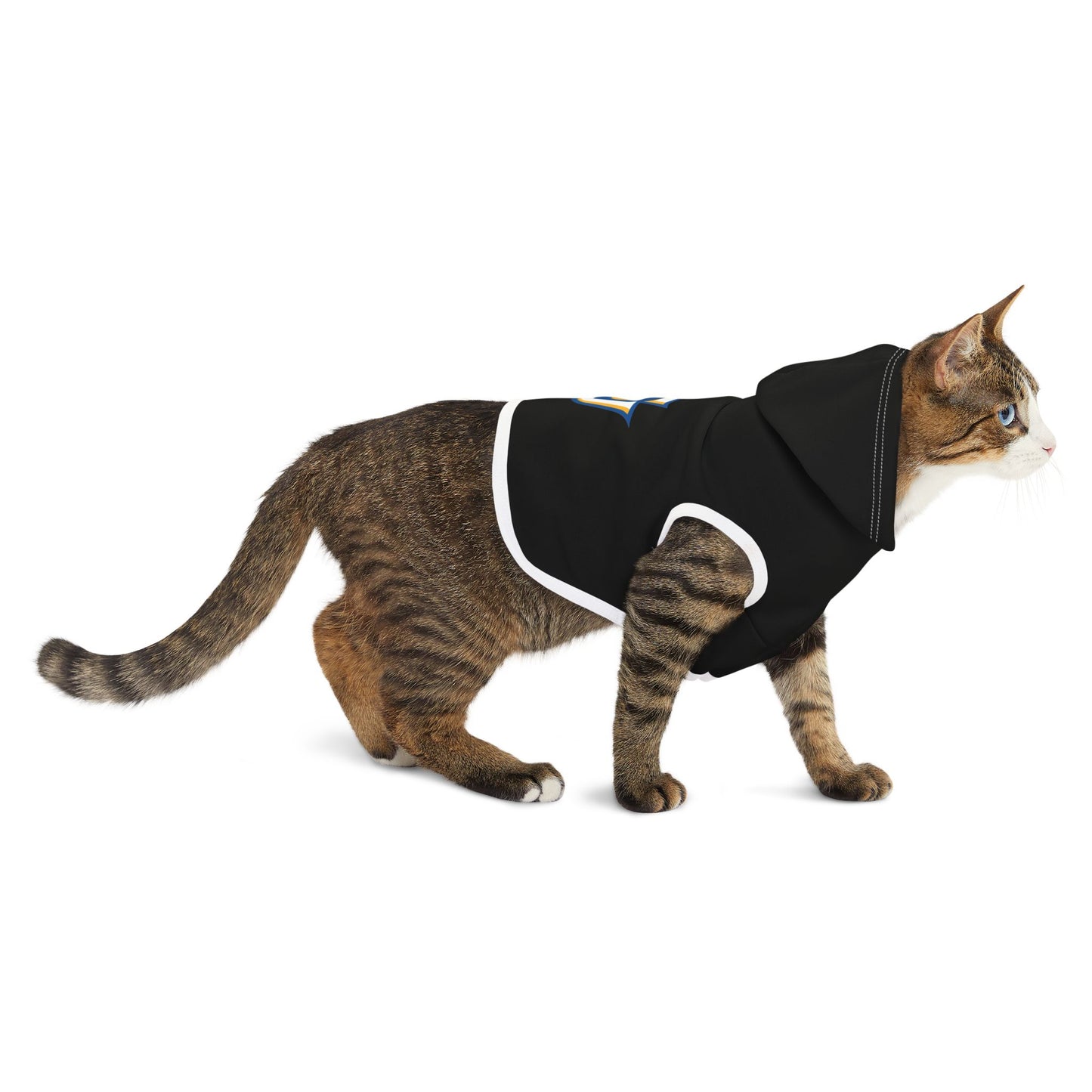Southern Pet Hoodie
