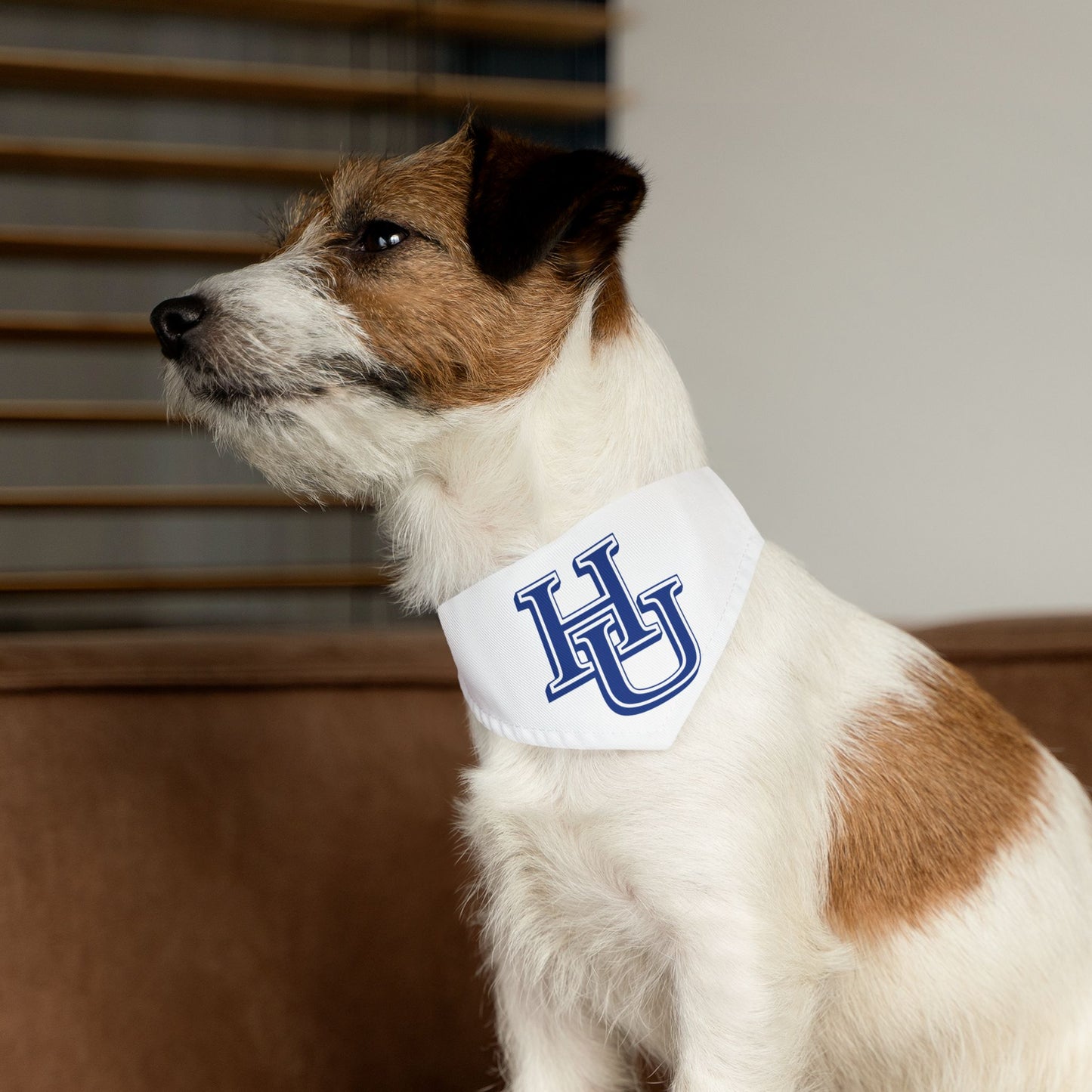 Hampton Pet Bandana Collar