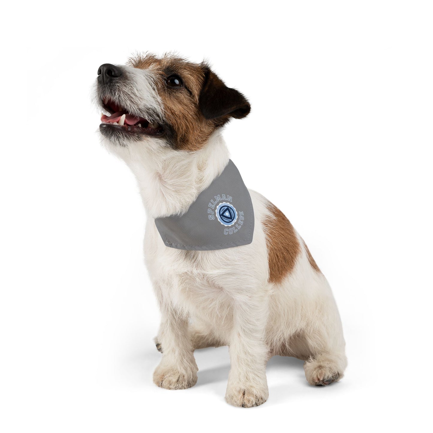 Spelman Pet Bandana Collar