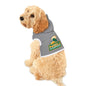 Norfolk state Pet Hoodie
