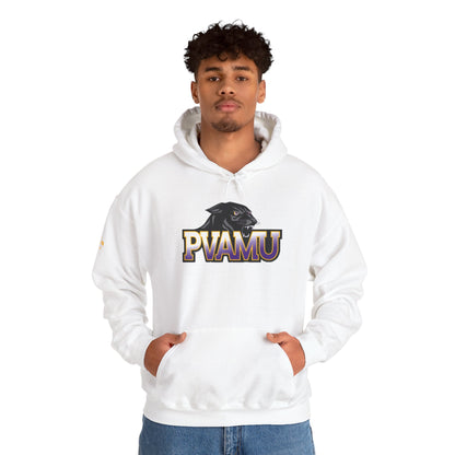 Unisex Heavy Blend™ Hooded Sweatshirt pv