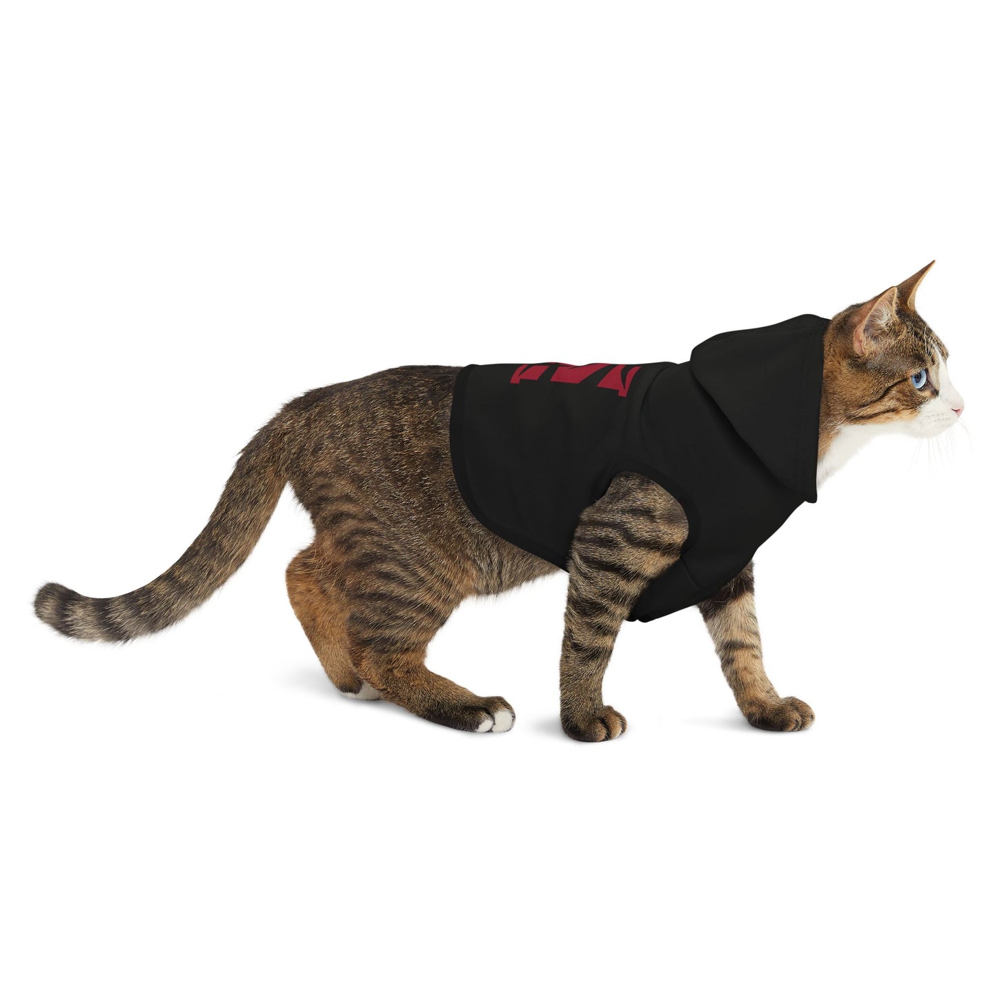 Morehouse Pet Hoodie
