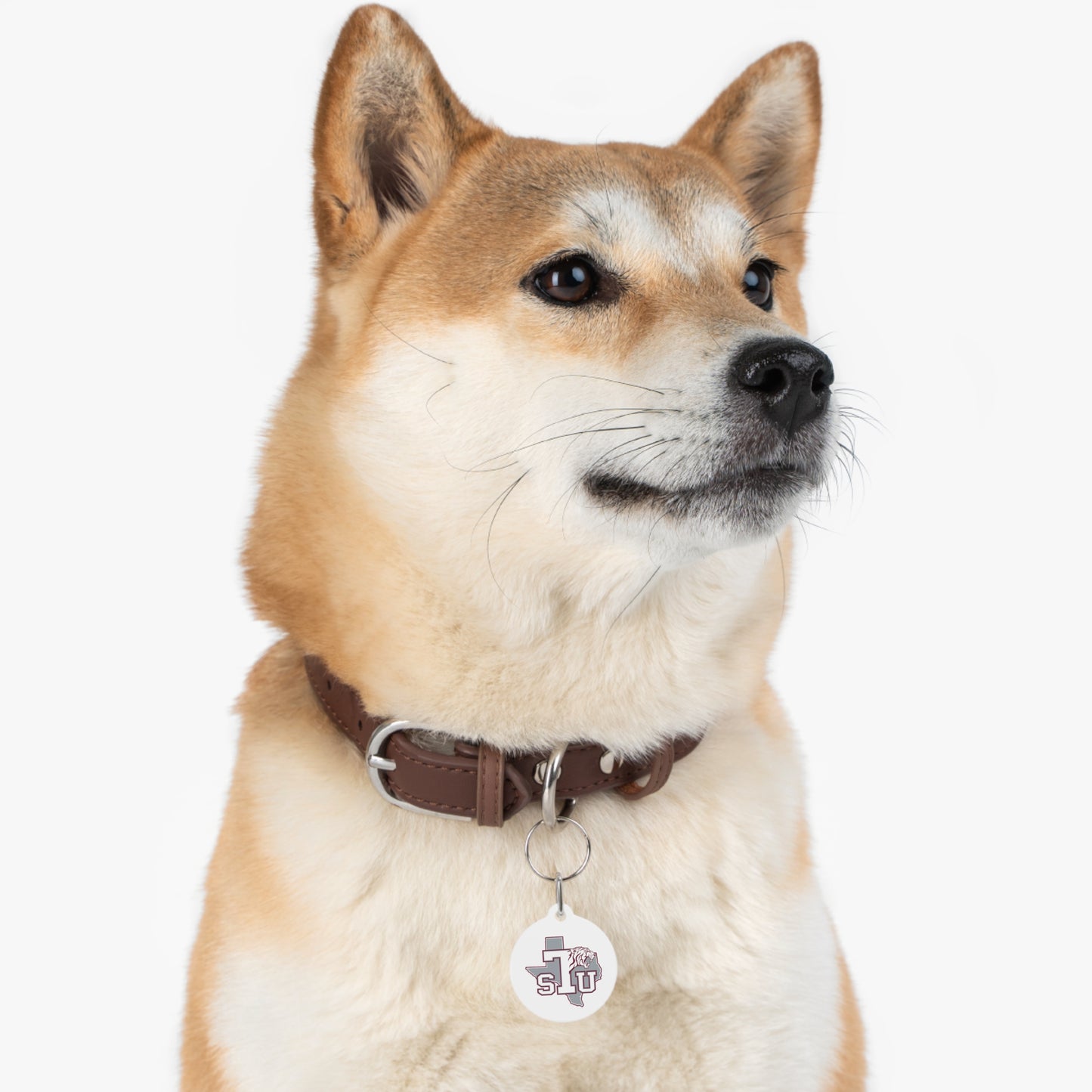 Texas southern Pet Tag
