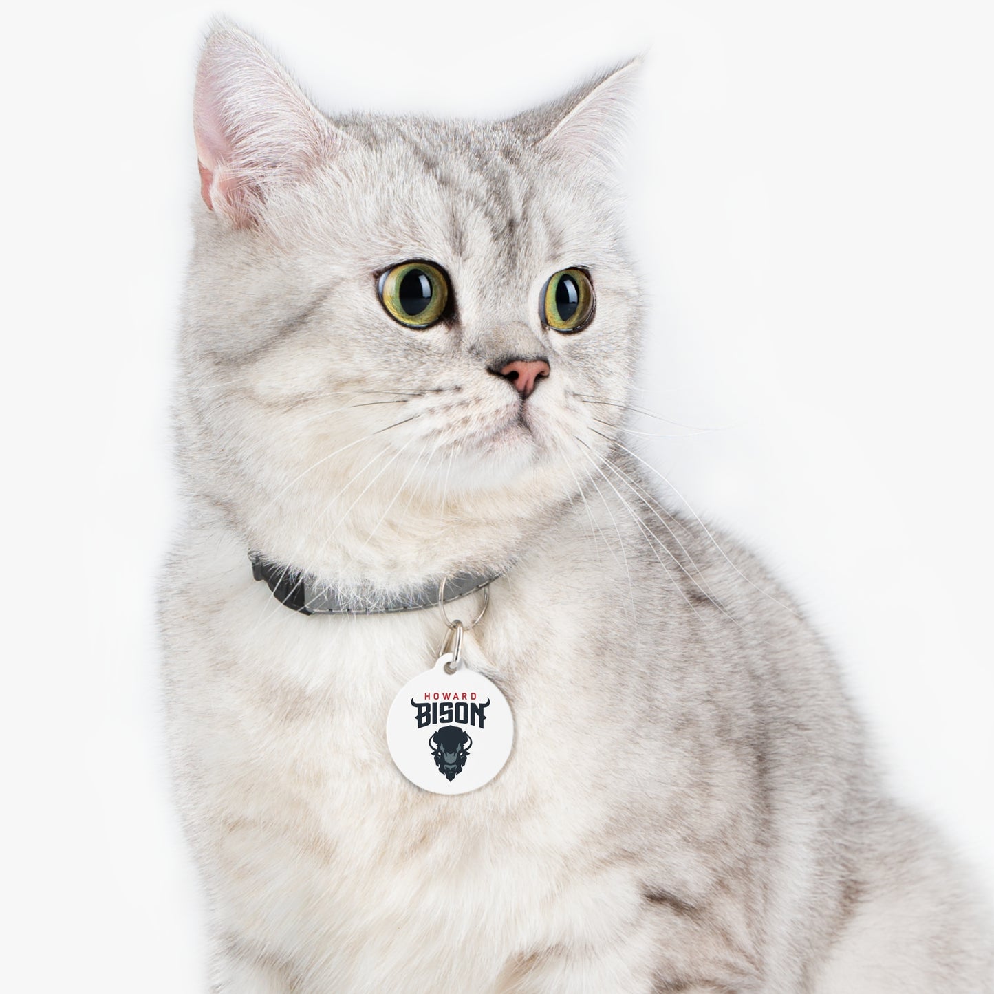 Howard Pet Tag