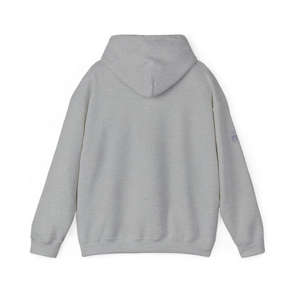Unisex Heavy Blend™ Hooded Sweatshirt sc