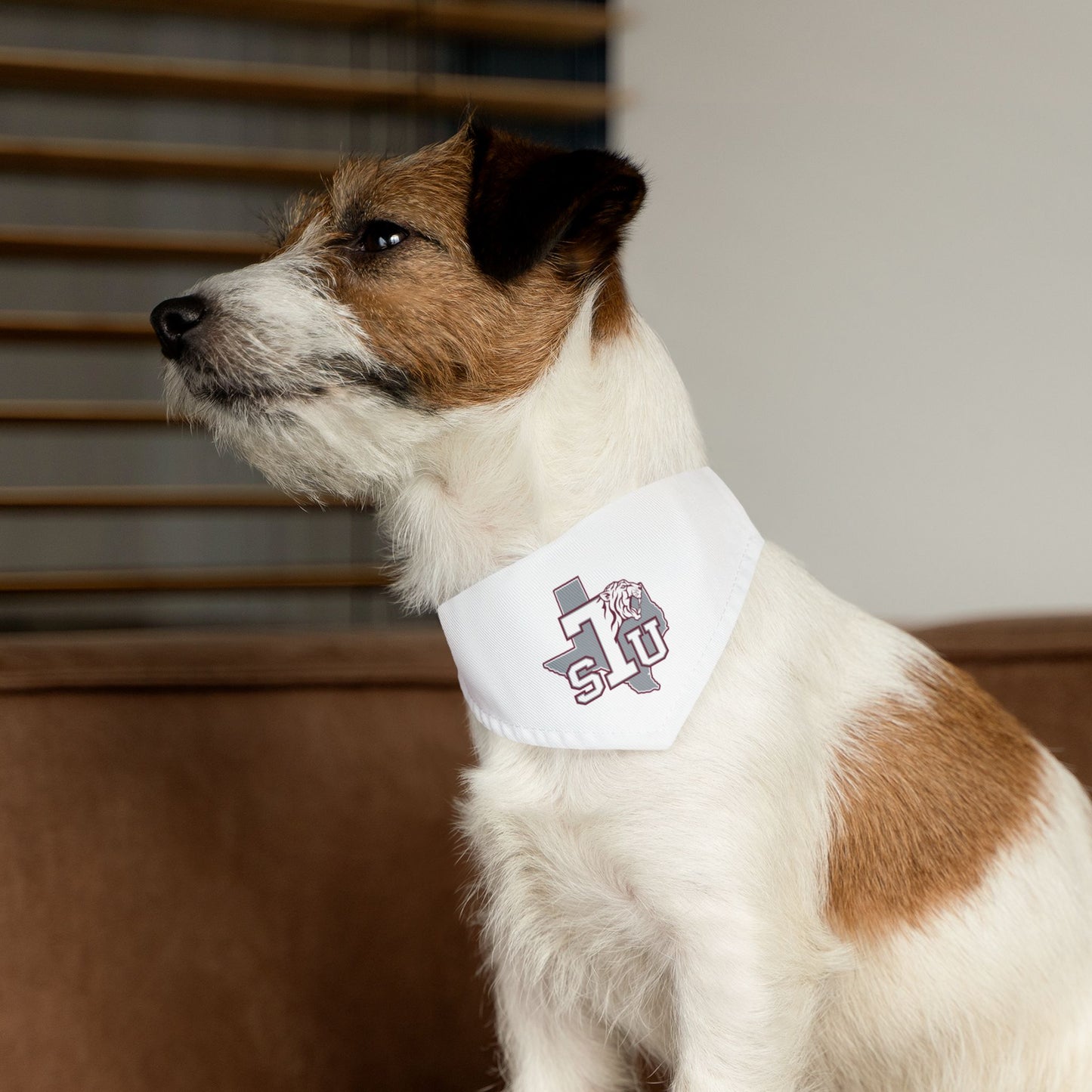 Texas Southern Pet Bandana Collar