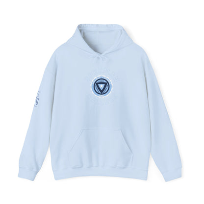 Unisex Heavy Blend™ Hooded Sweatshirt sc