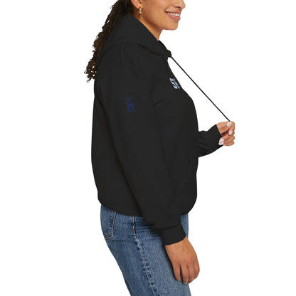 Unisex Heavy Blend™ Hooded Sweatshirt sc