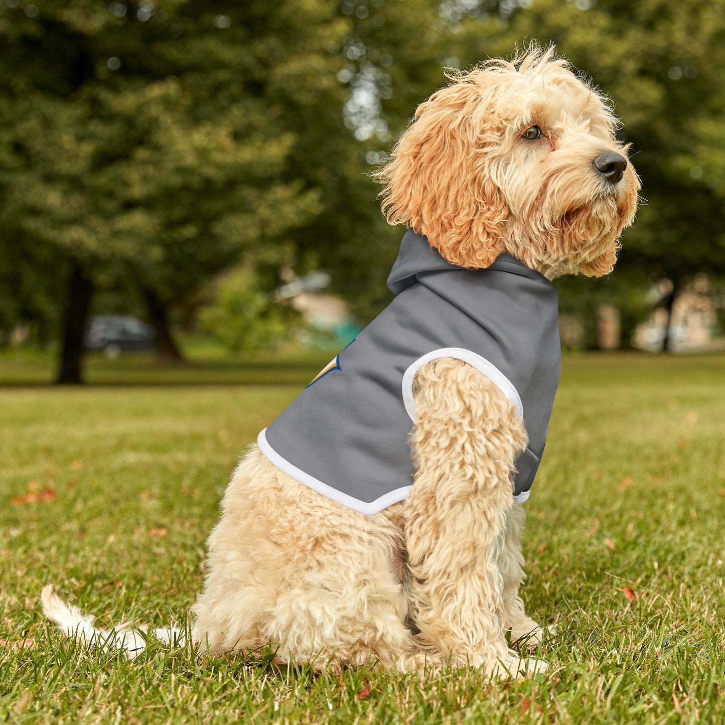 Southern Pet Hoodie