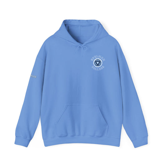 Unisex Heavy Blend™ Hooded Sweatshirt sc