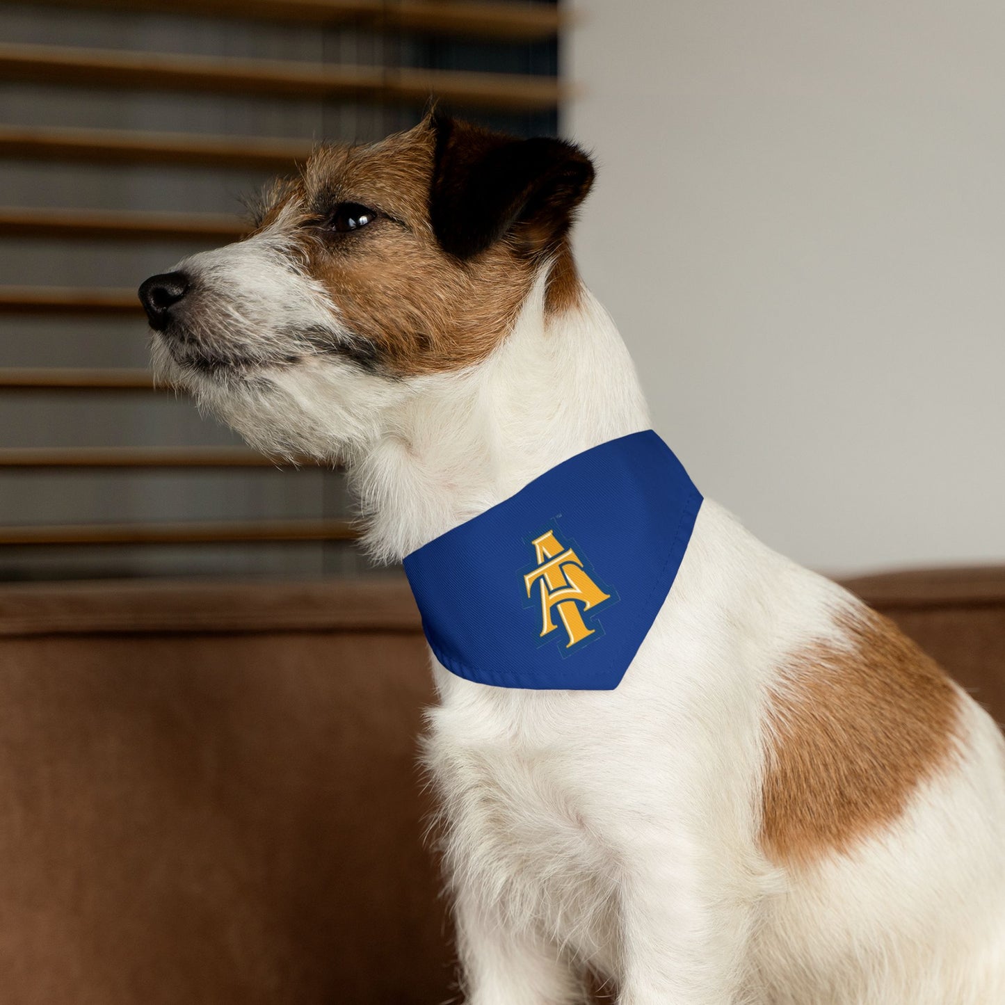 NCAT Pet Bandana Collar