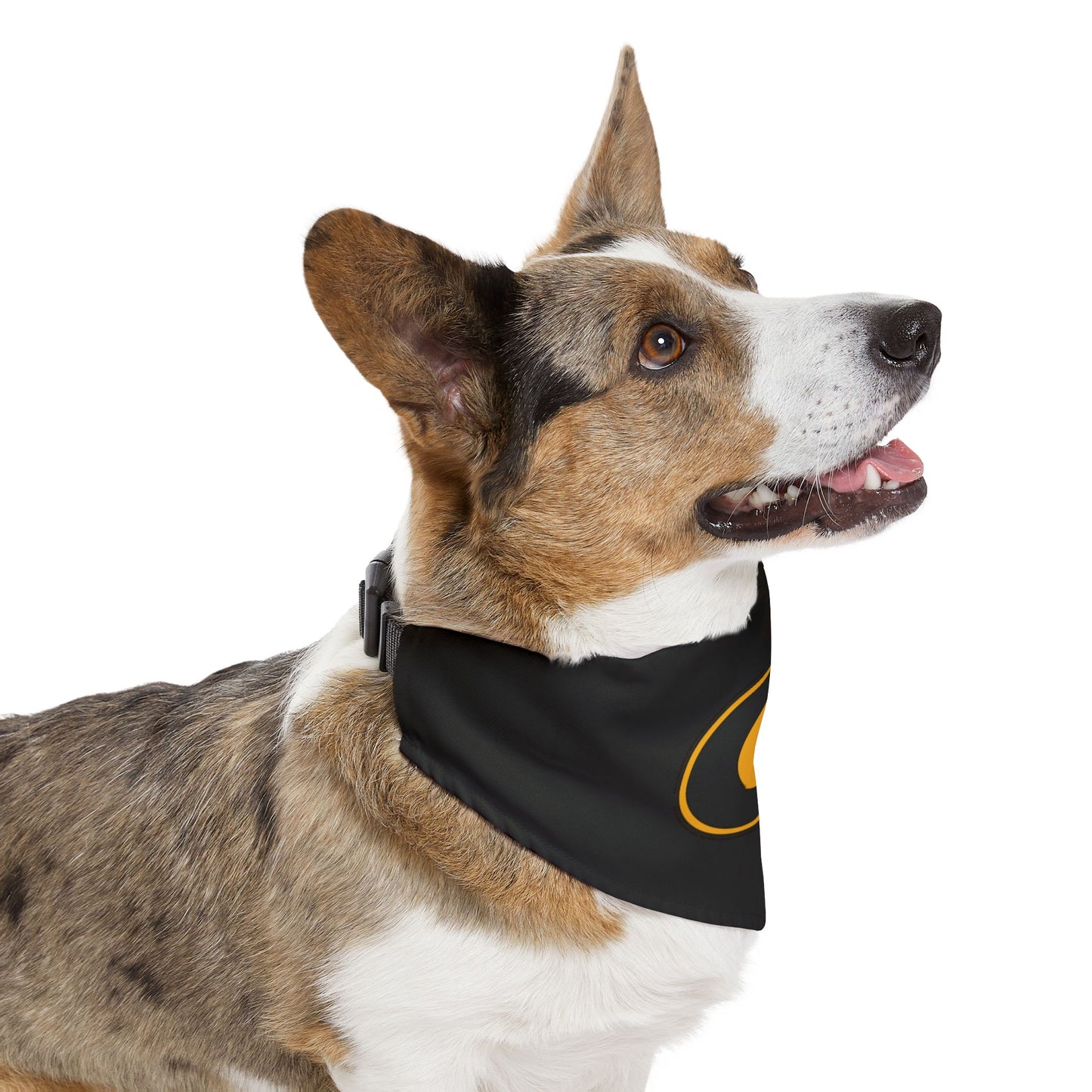 Grambling Pet Bandana Collar