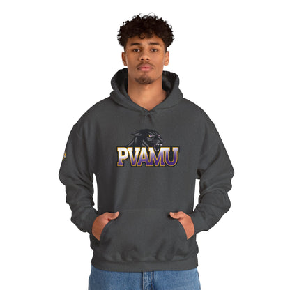 Unisex Heavy Blend™ Hooded Sweatshirt pv