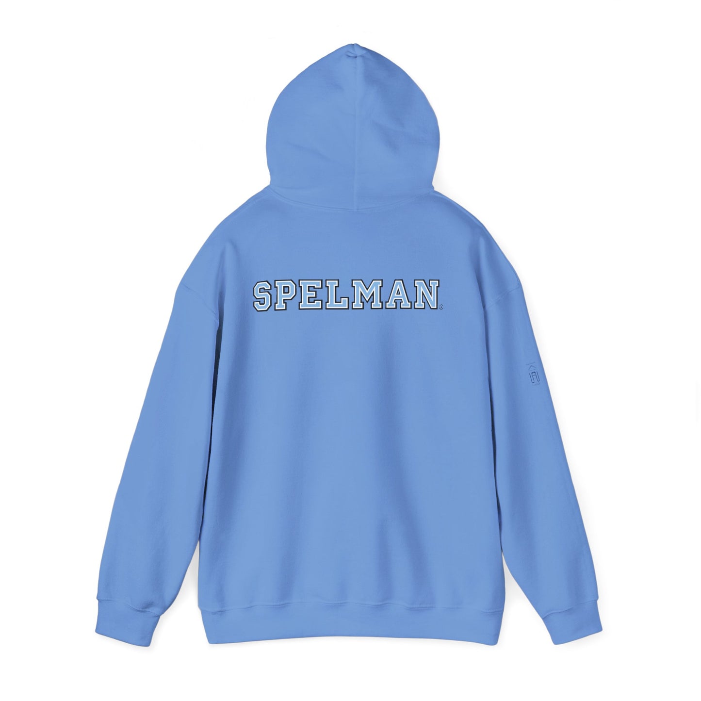 Unisex Heavy Blend™ Hooded Sweatshirt sc