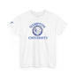hUnisex Heavy Cotton Tee