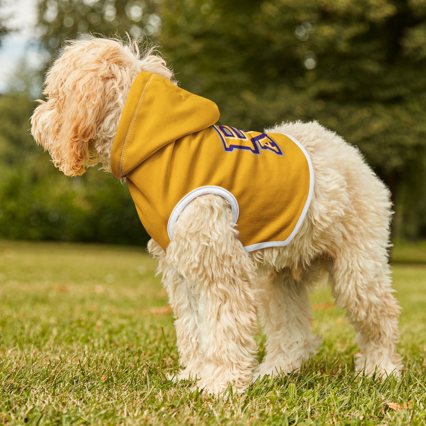 Prairie View Pet Hoodie