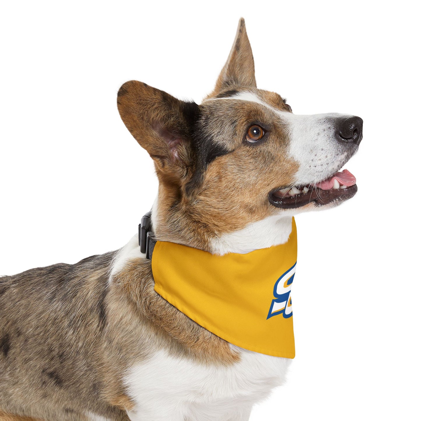 Southern Pet Bandana Collar