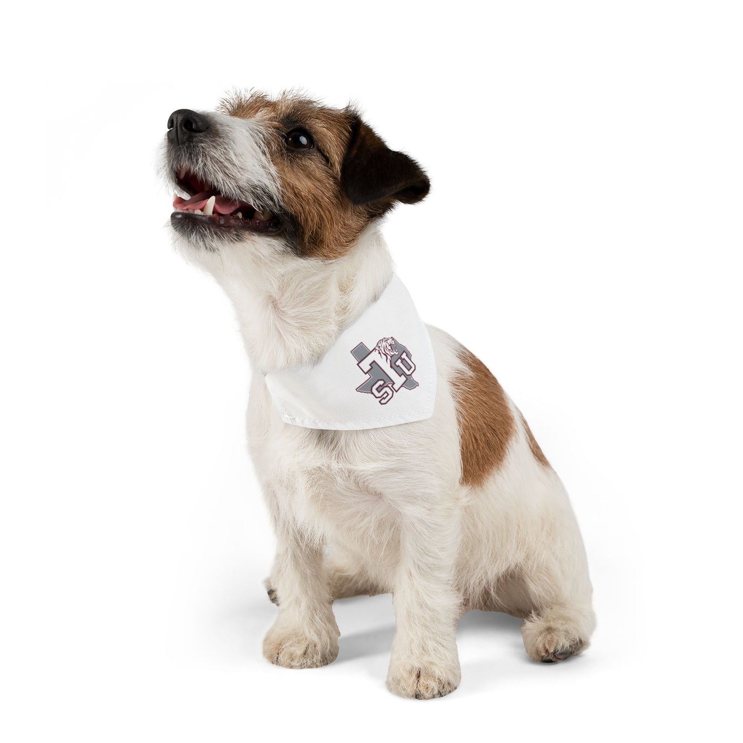 Texas Southern Pet Bandana Collar
