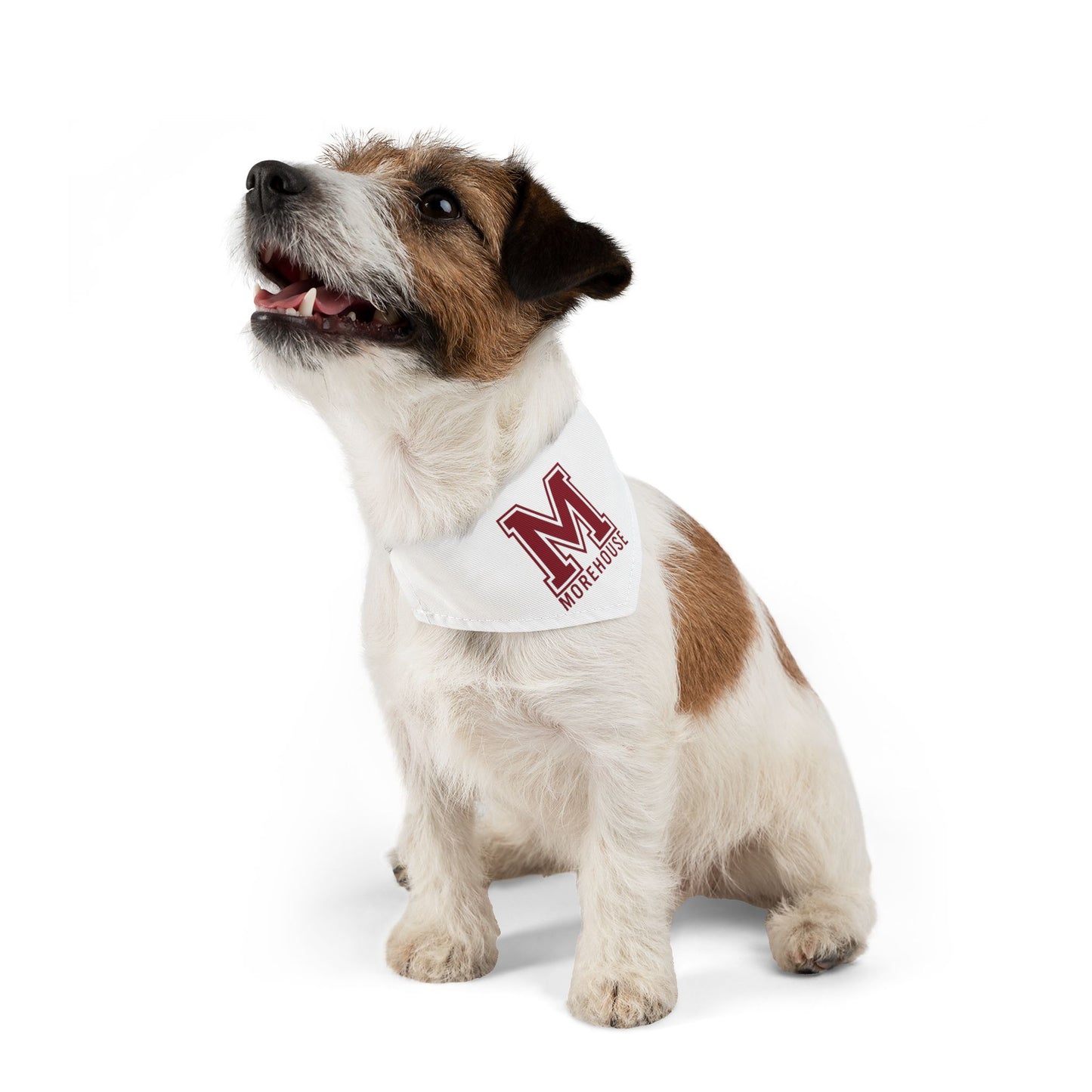Morehouse Pet Bandana Collar