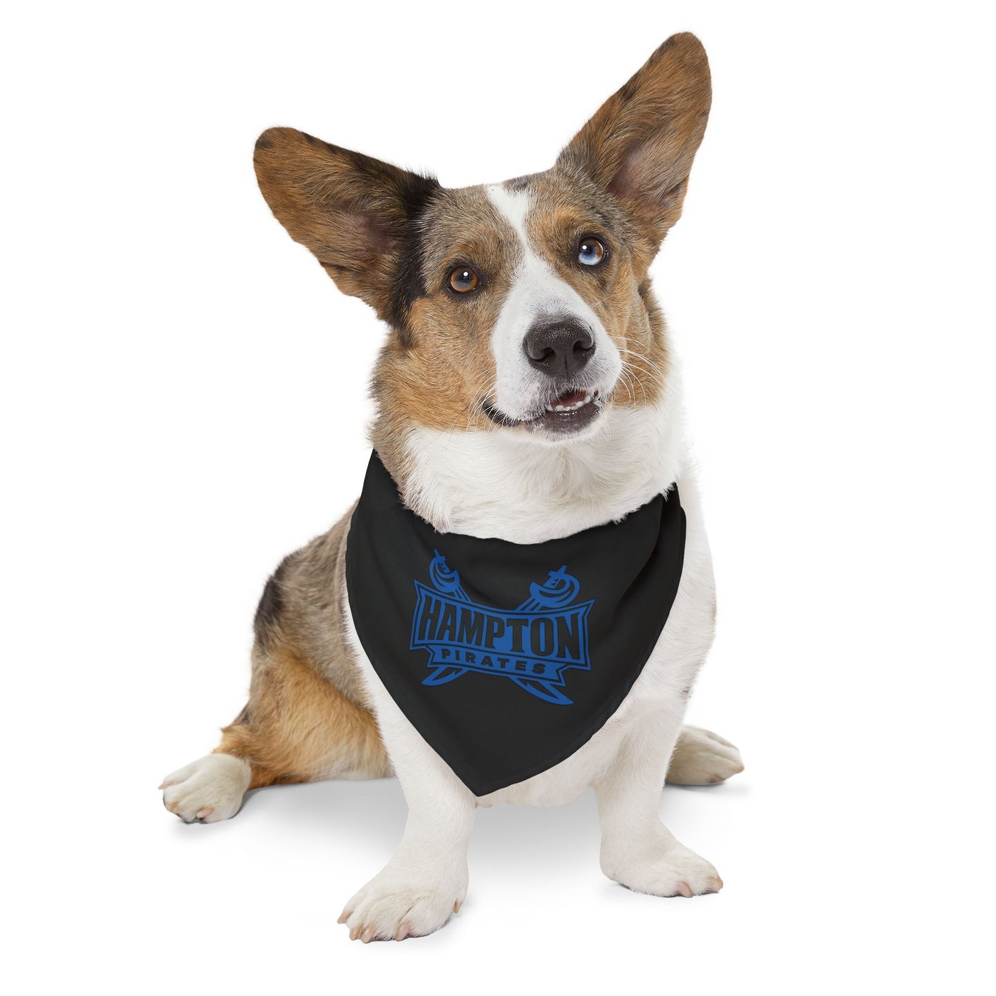 Hampton Pet Bandana Collar