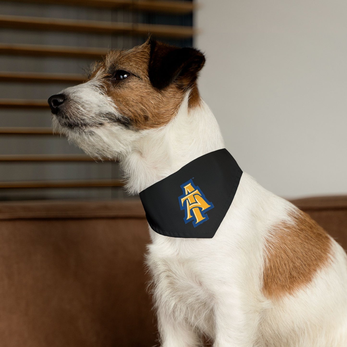 NCAT Pet Bandana Collar