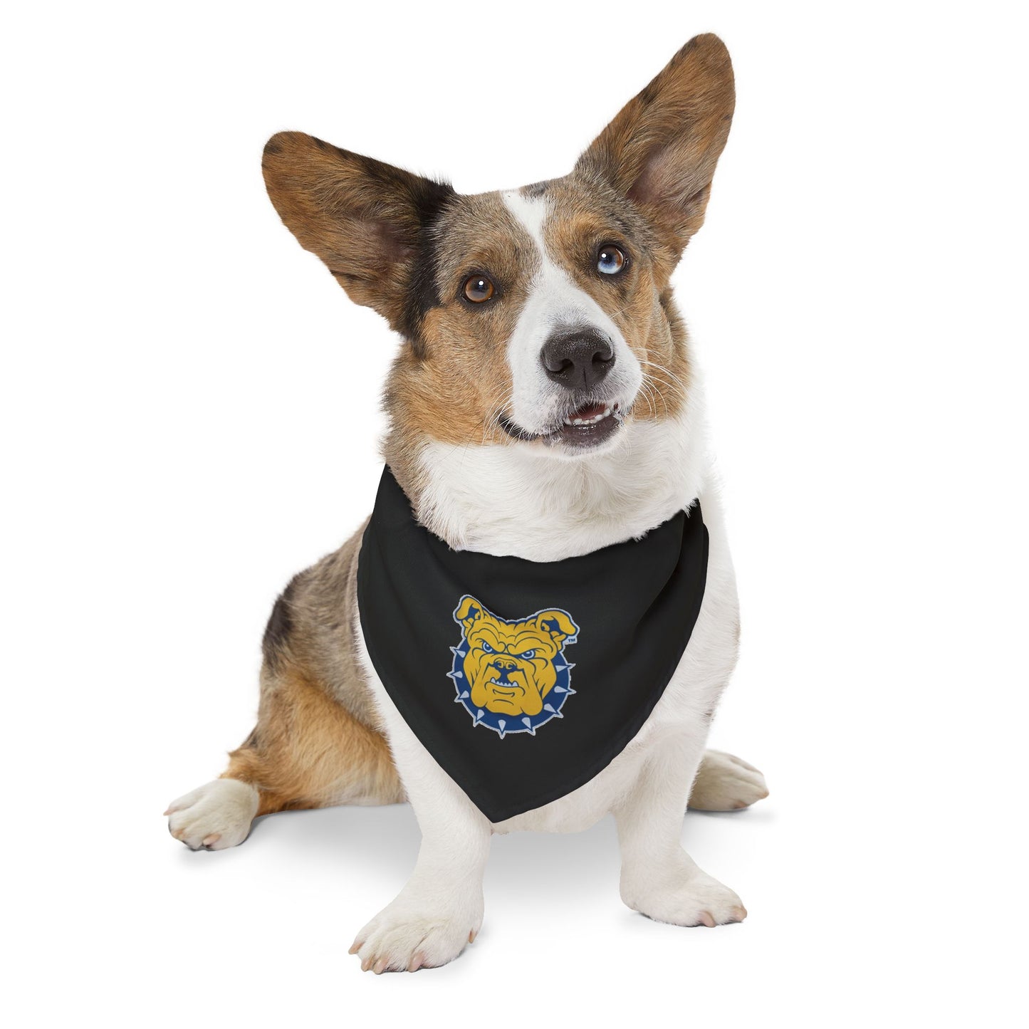 NCAT Pet Bandana Collar