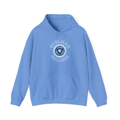 Unisex Heavy Blend™ Hooded Sweatshirt sc