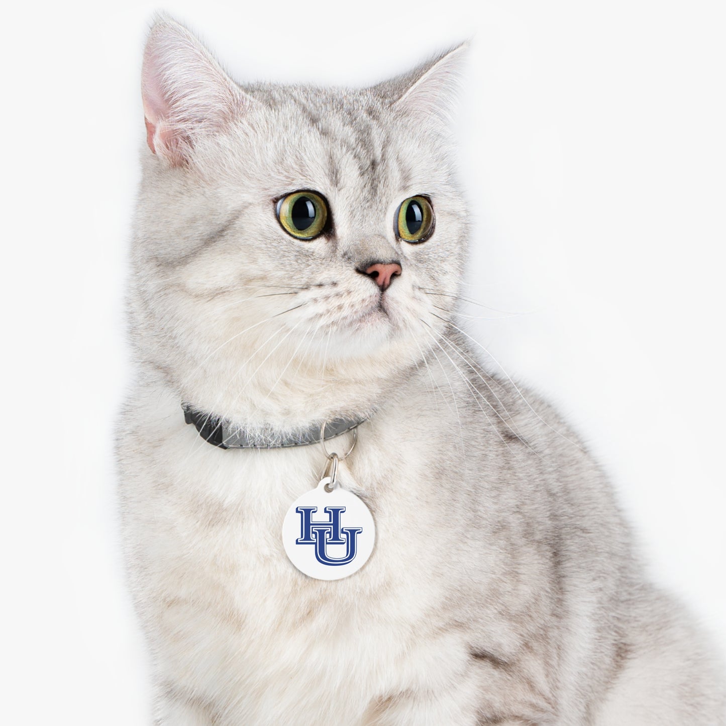 Hampton Pet Tag