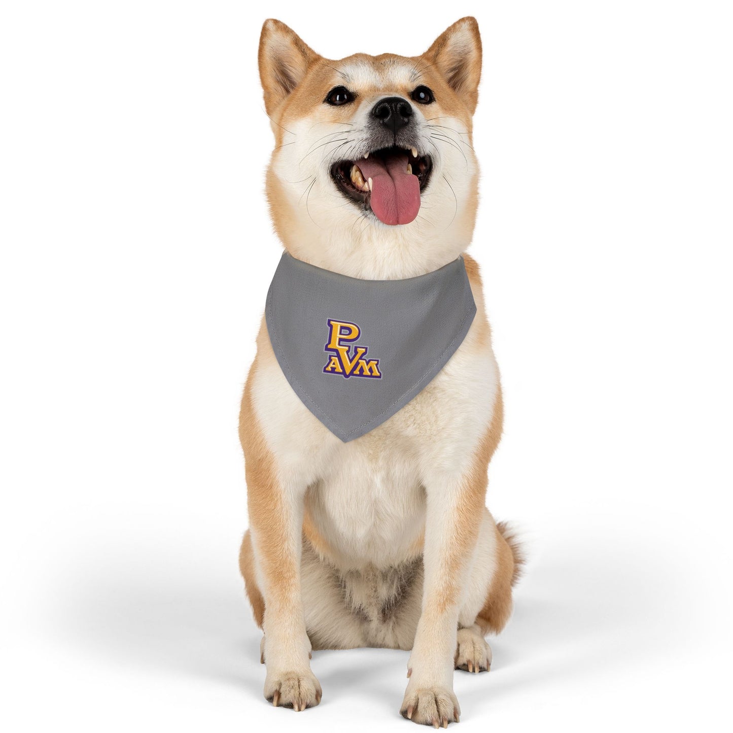 Prairie View Pet Bandana Collar