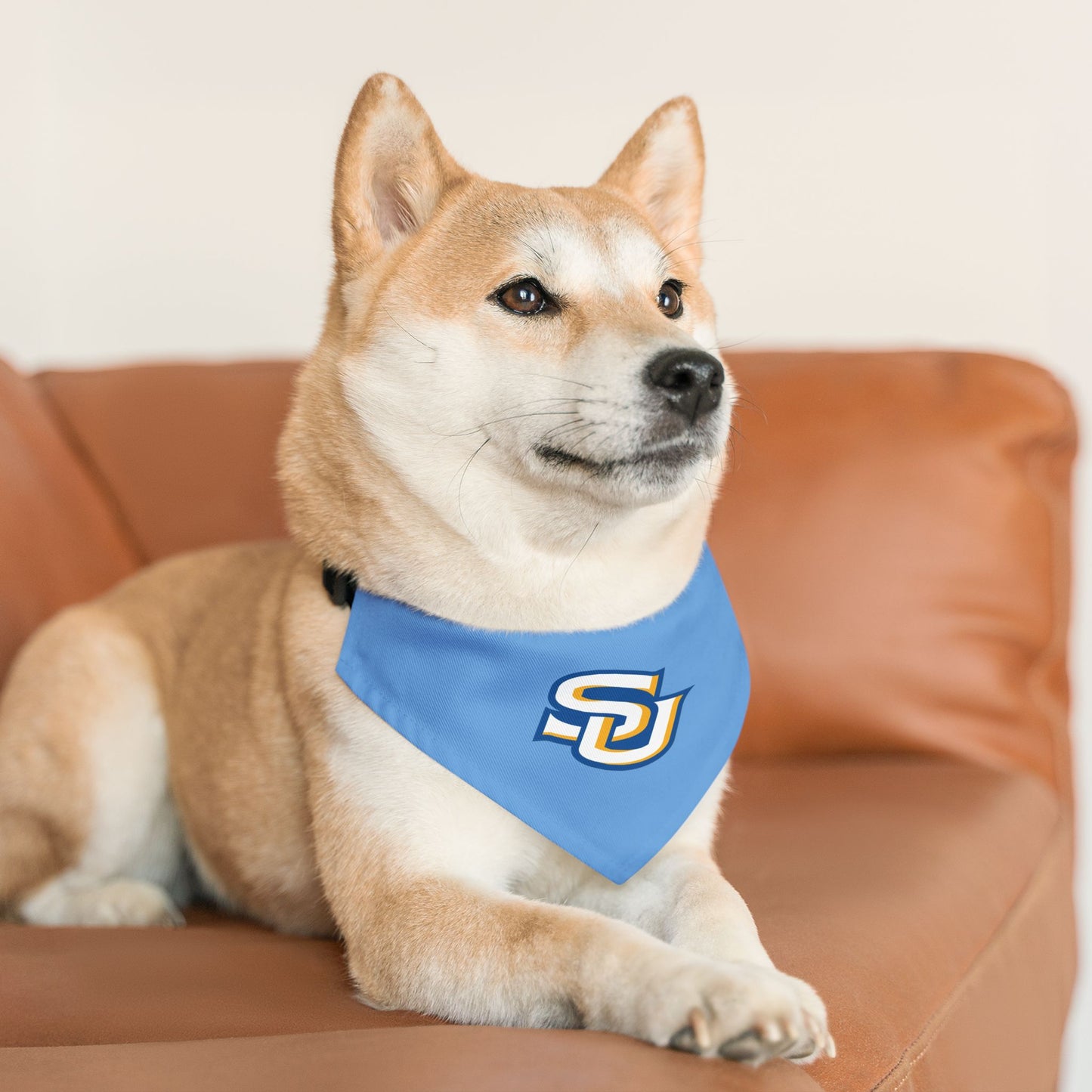 Southern Pet Bandana Collar
