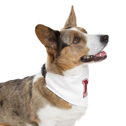Morehouse Pet Bandana Collar