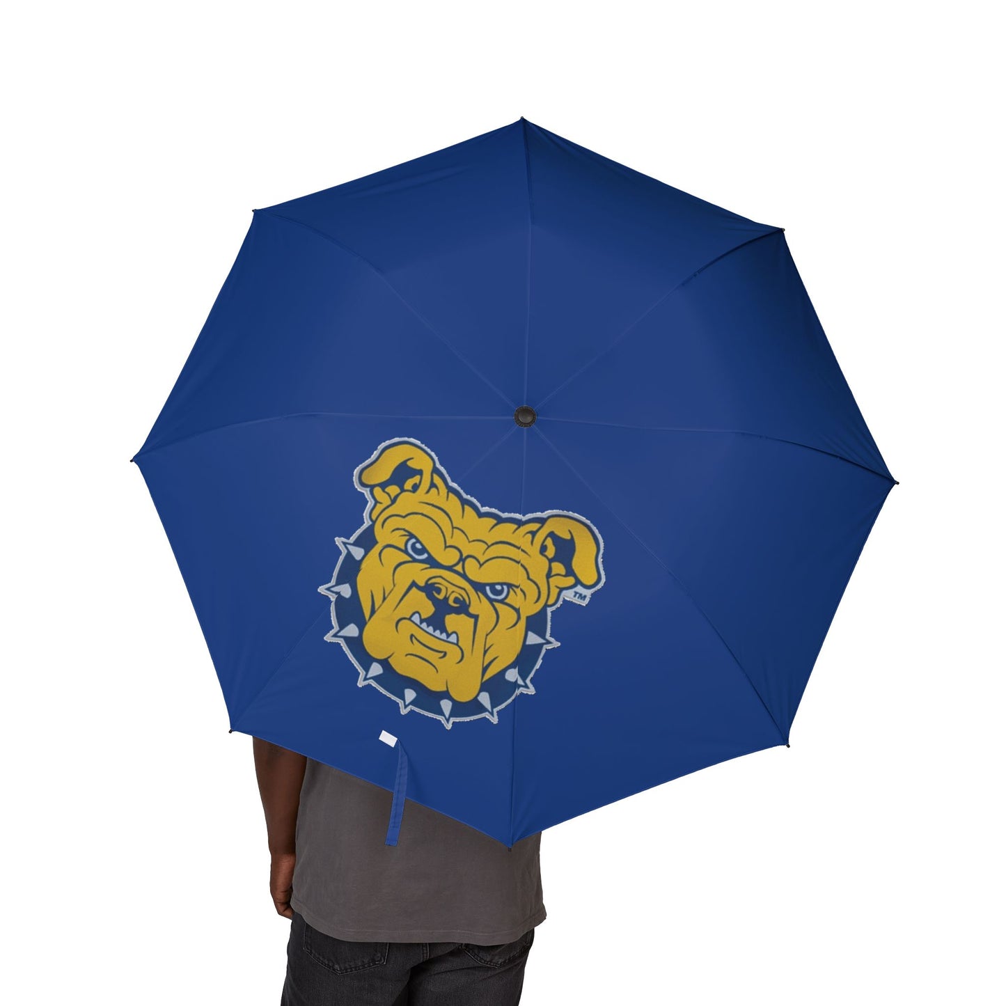 Semi-Automatic Foldable Umbrella