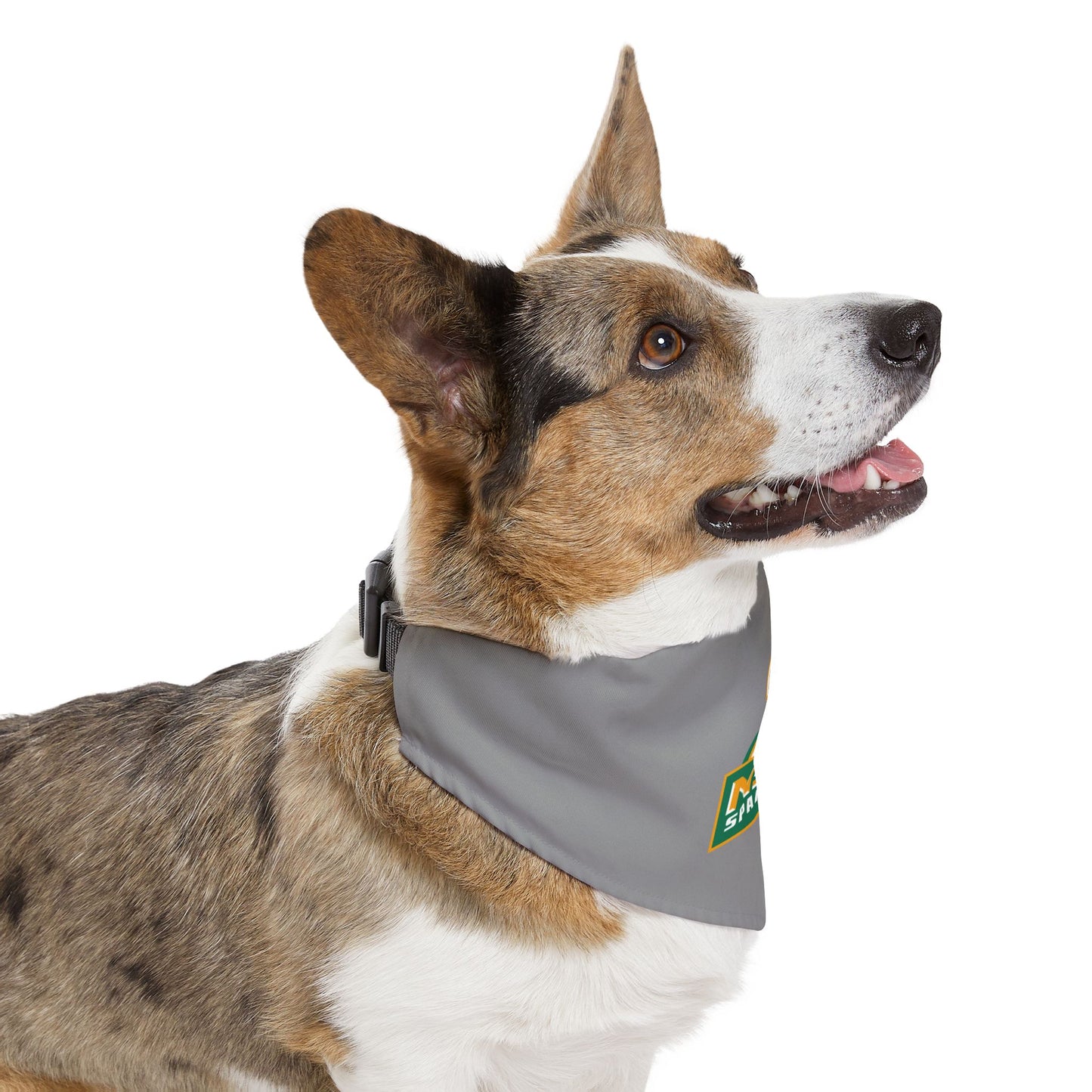 Norfolk State Pet Bandana Collar