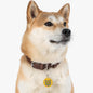 NCAT Pet Tag