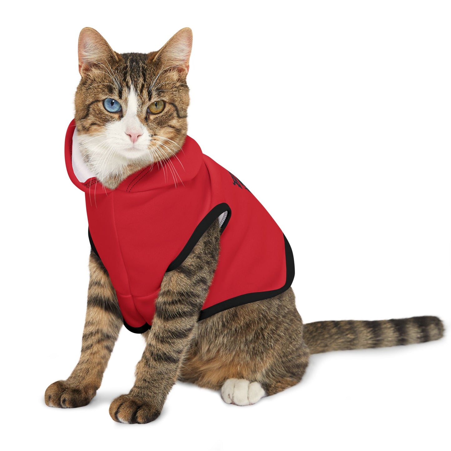 Howard Pet Hoodie