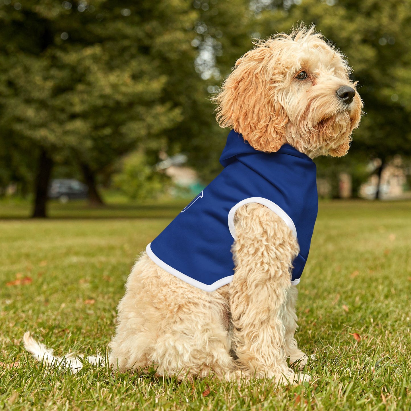 Hampton Pet Hoodie