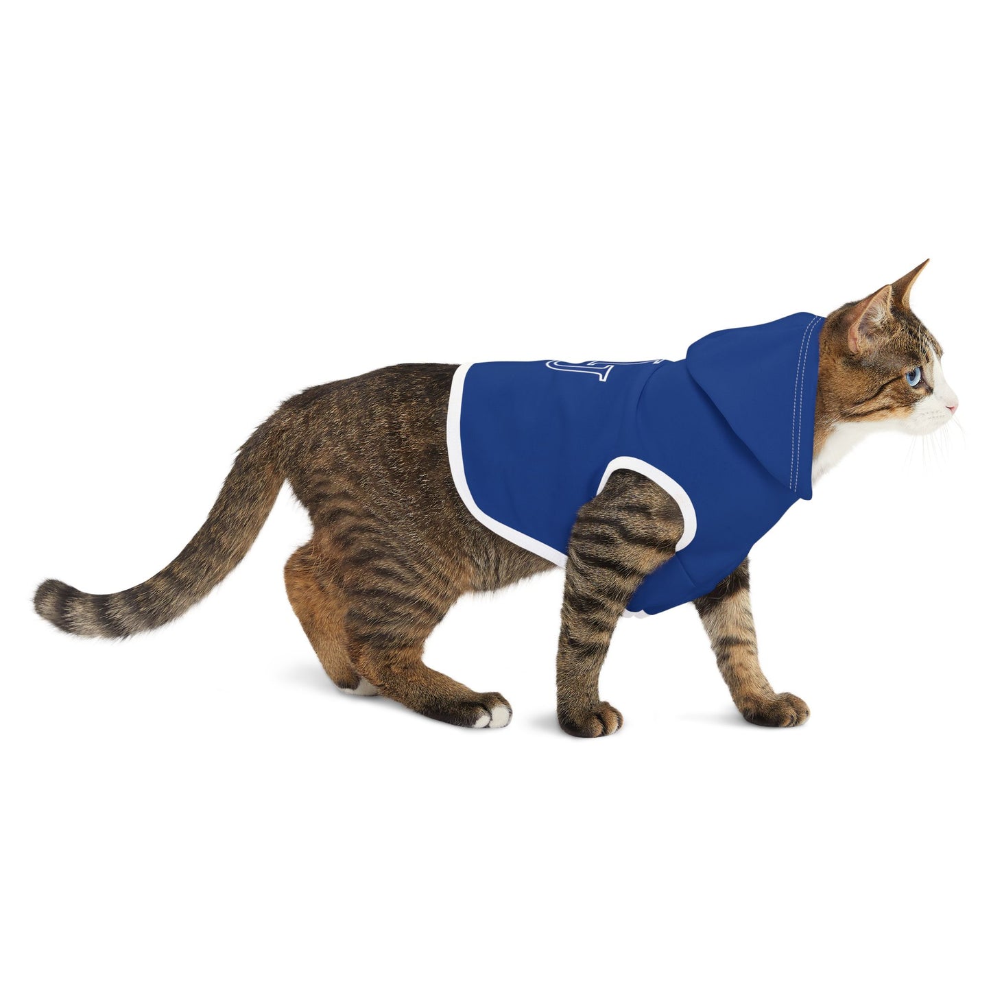 Hampton Pet Hoodie