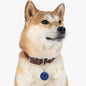 Howard Pet Tag
