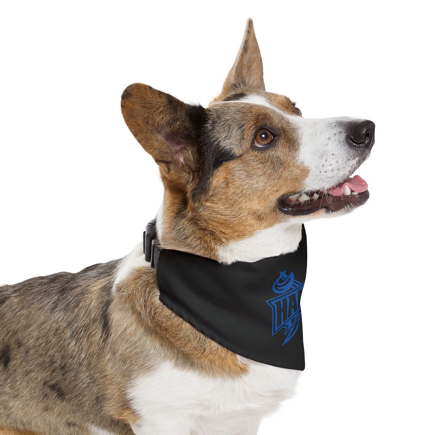 Hampton Pet Bandana Collar
