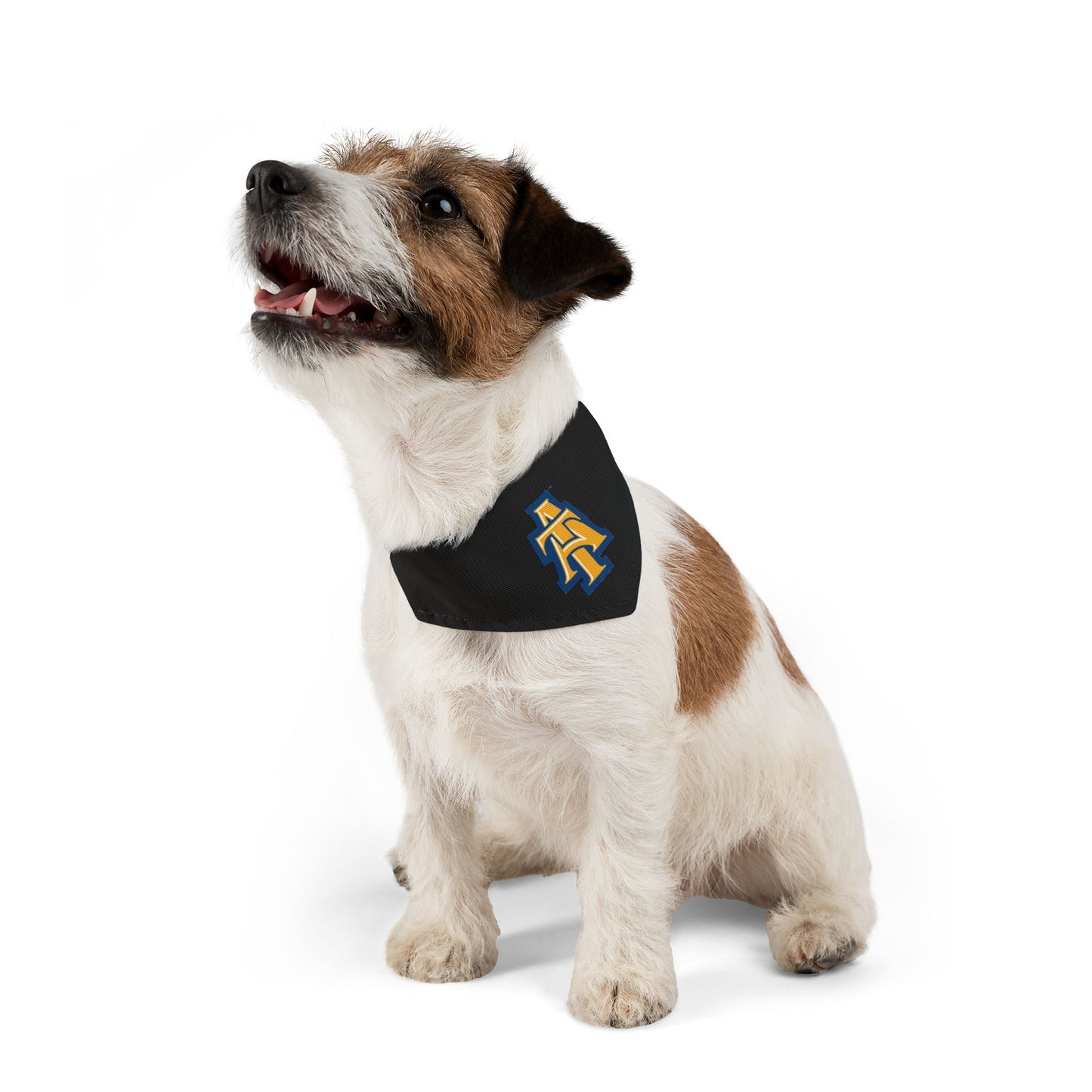 NCAT Pet Bandana Collar