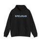 Unisex Heavy Blend™ Hooded Sweatshirt sc