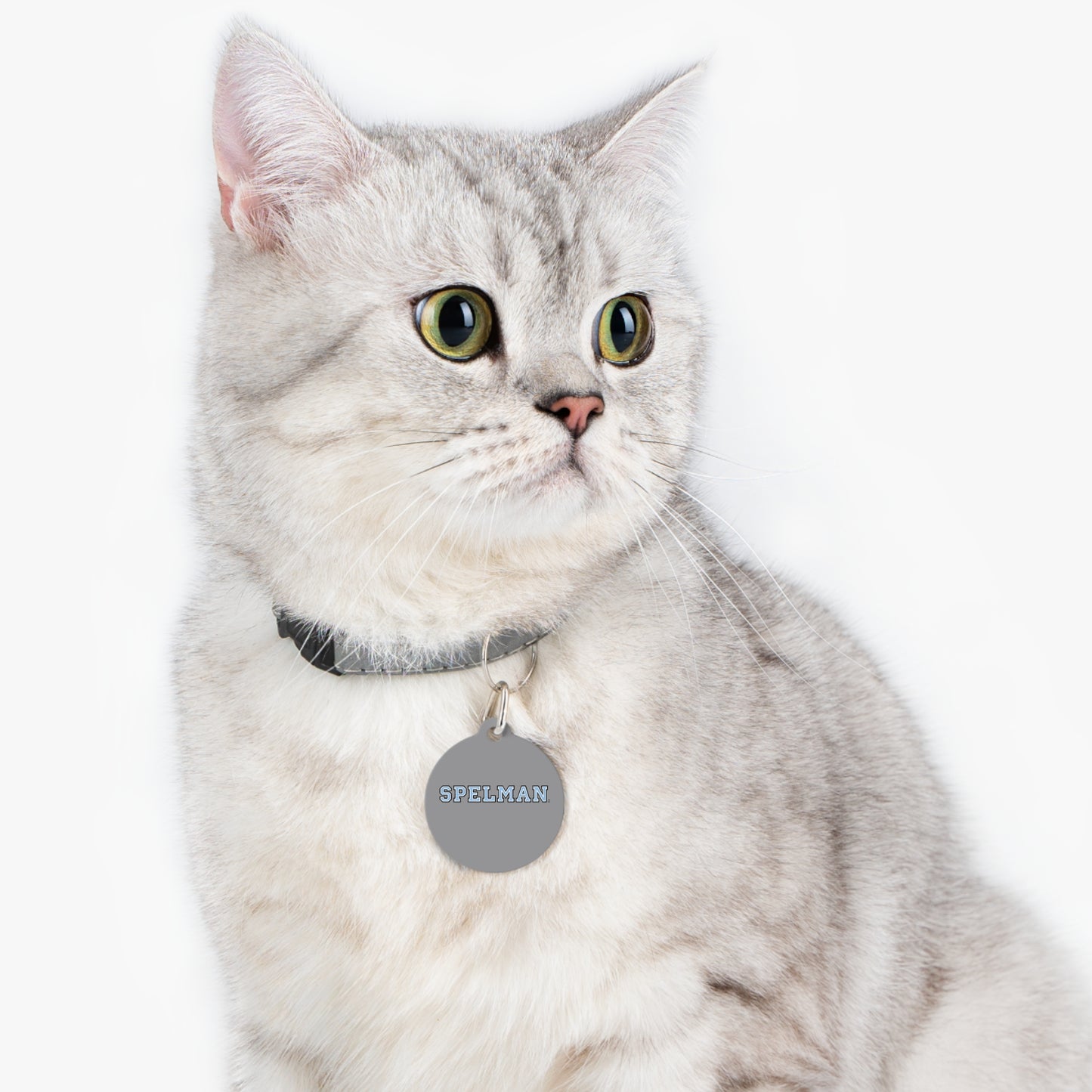 Spelman Pet Tag