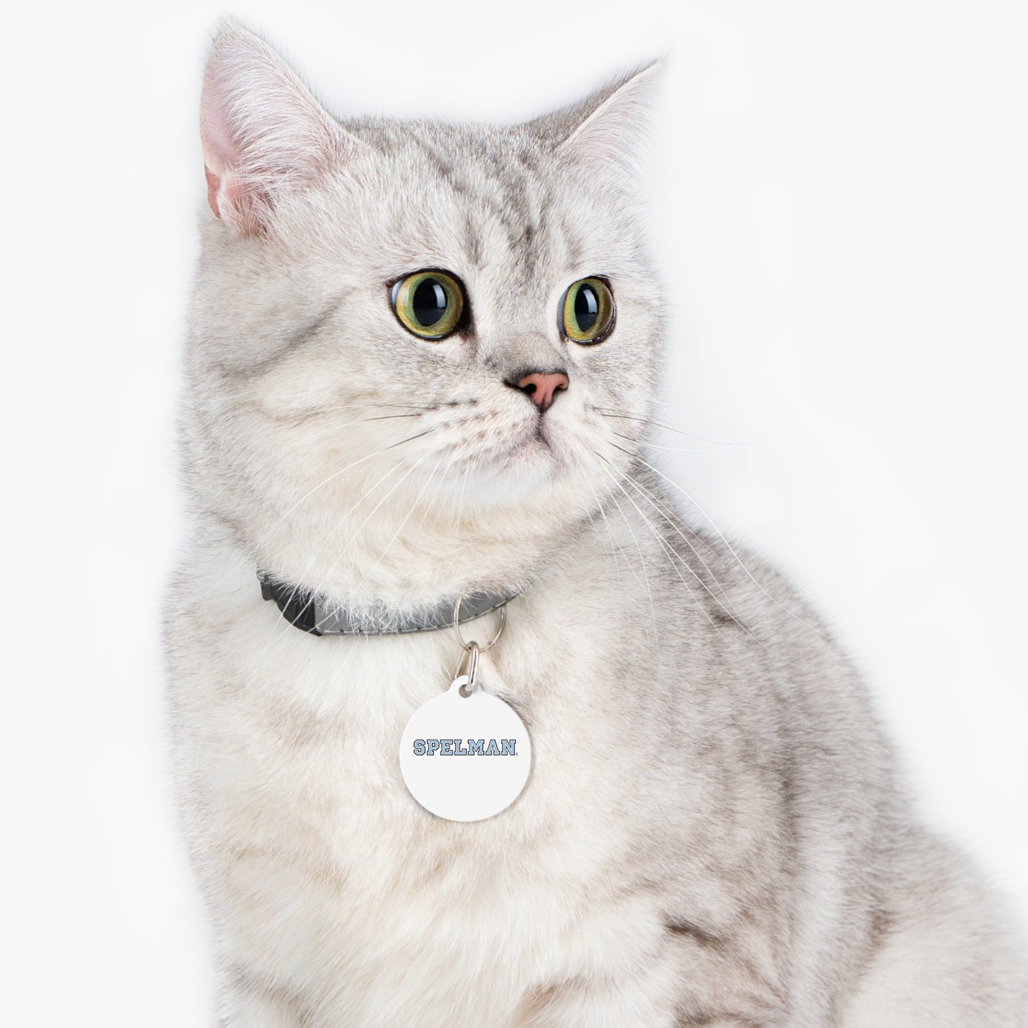 Spelman Pet Tag
