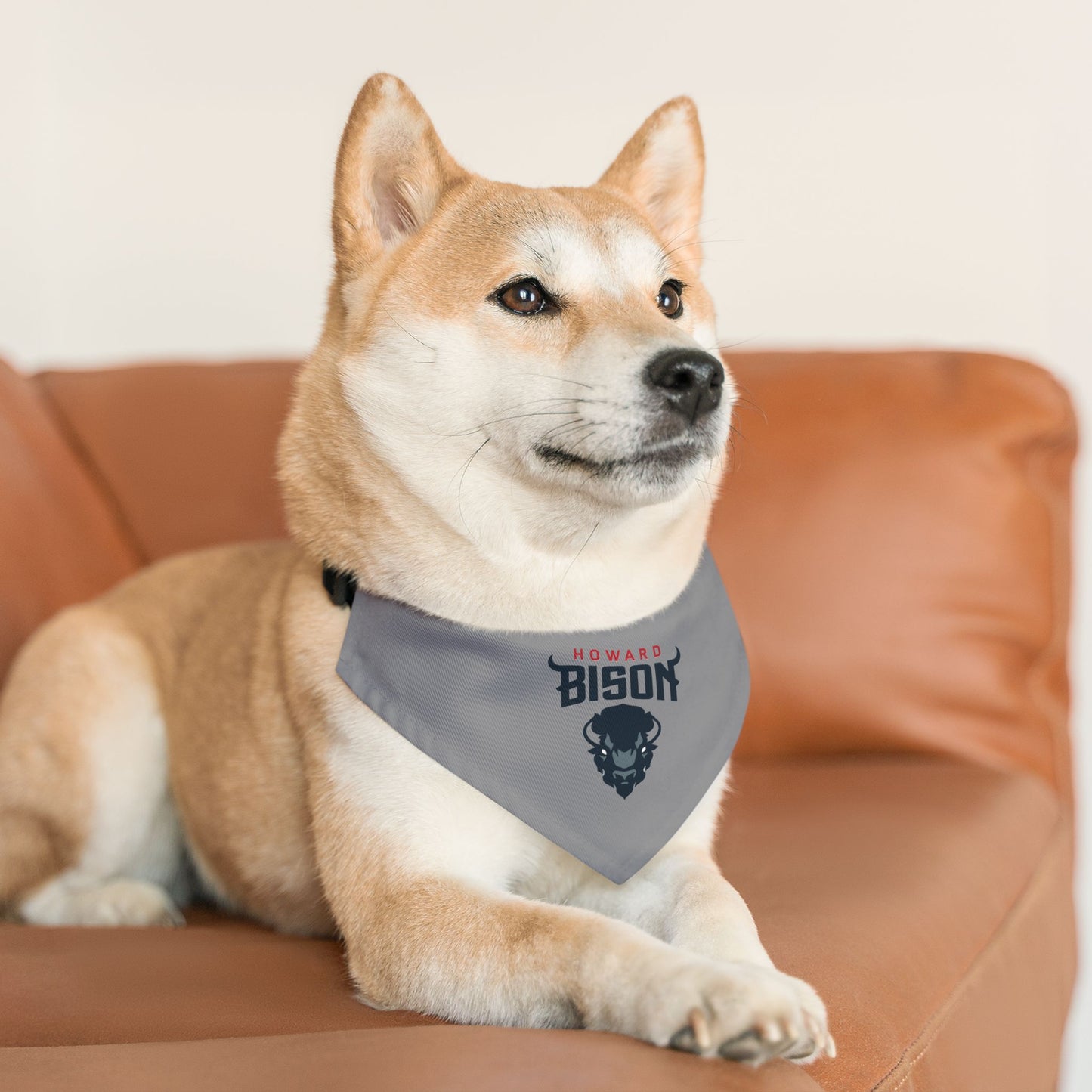 Howard Pet Bandana Collar