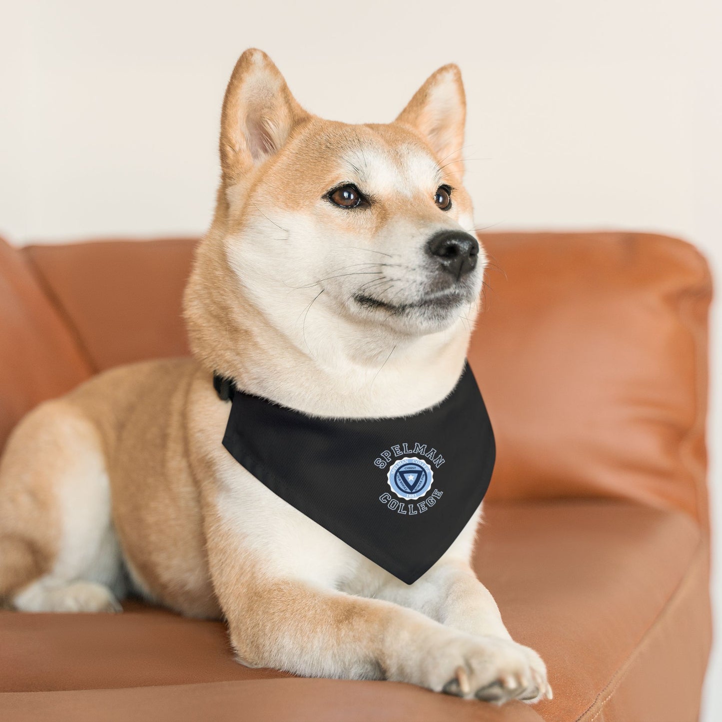 Spelman Pet Bandana Collar