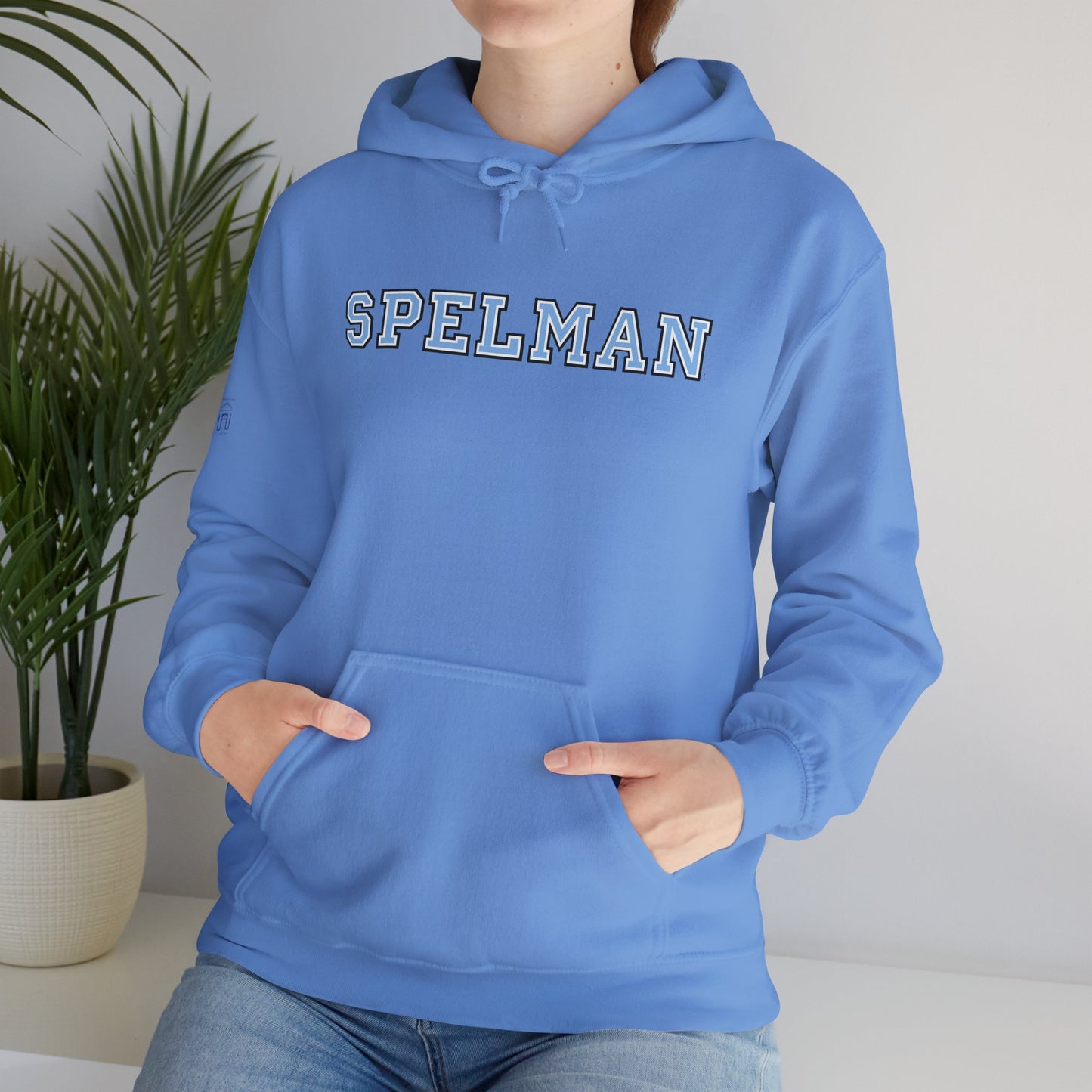 Unisex Heavy Blend™ Hooded Sweatshirt sc